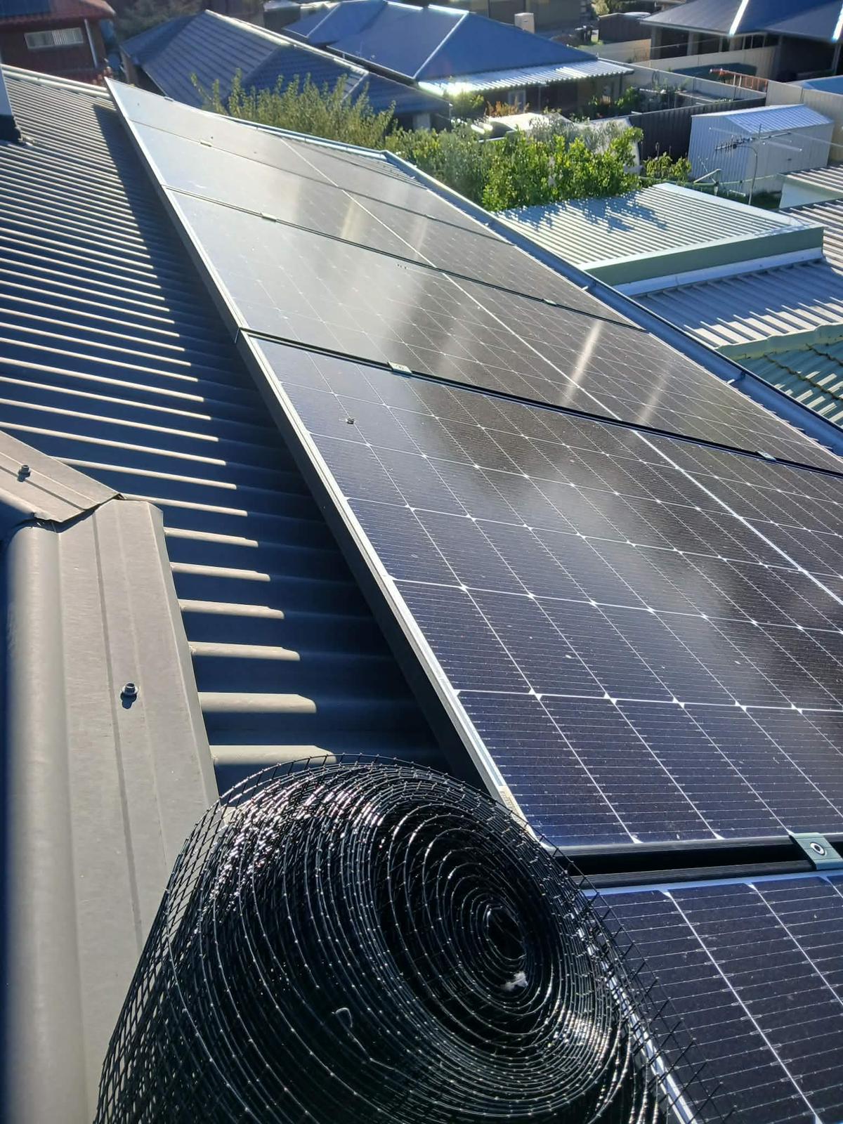 Solar panel bird proofing installation Adelaide